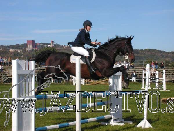 Koice 2005