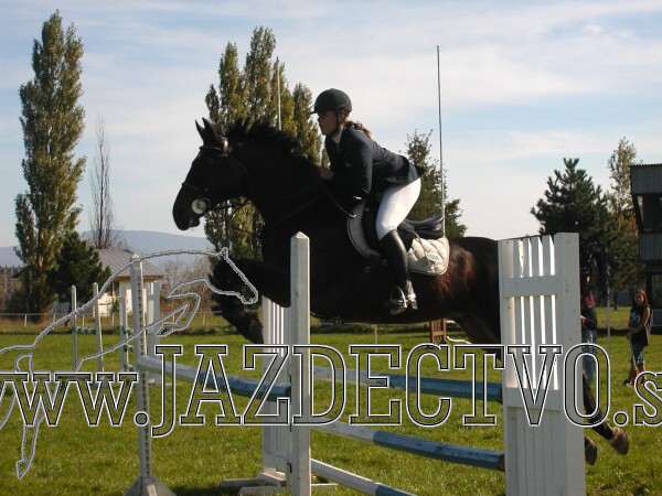 Koice 2005