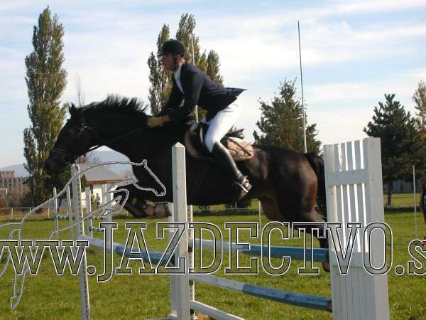 Koice 2005