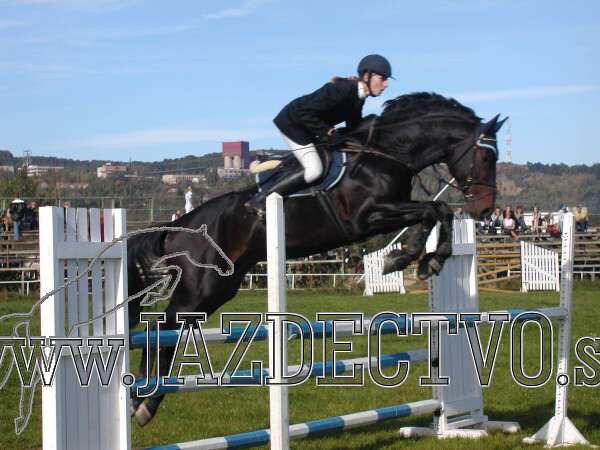 Koice 2005