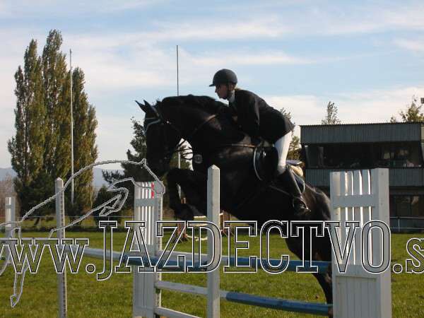 Koice 2005