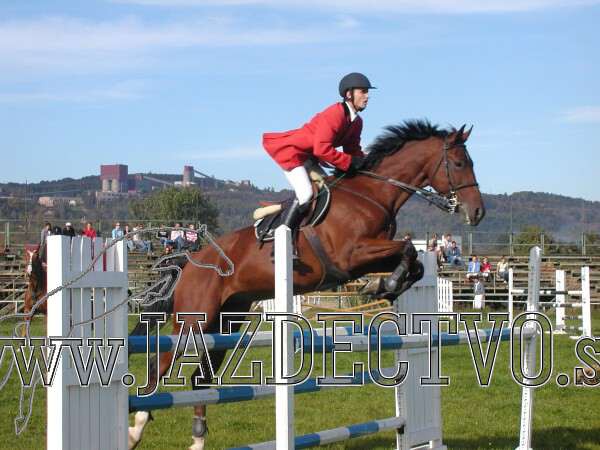 Koice 2005