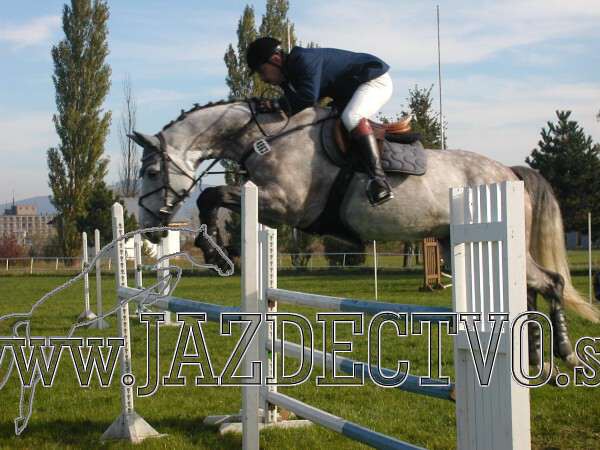 Koice 2005