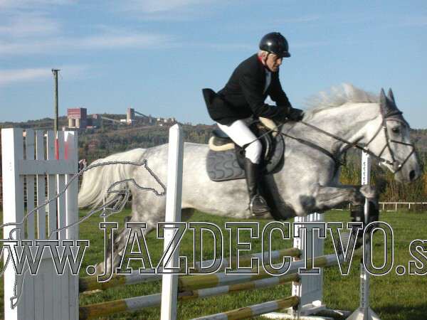 Koice 2005