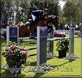 GP 2012