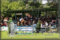 GP 2012