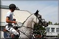 GP 2012