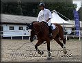 GP 2012