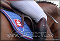 GP PN 2012